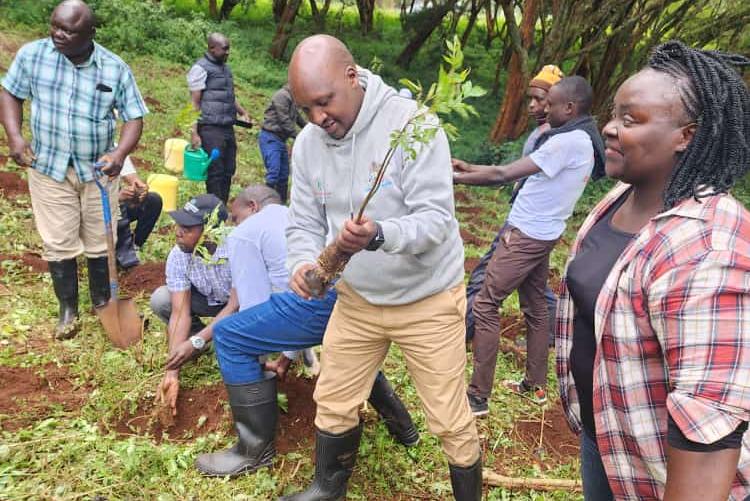 Ag. Finance Officer Participating in the Elimu tree planting Day