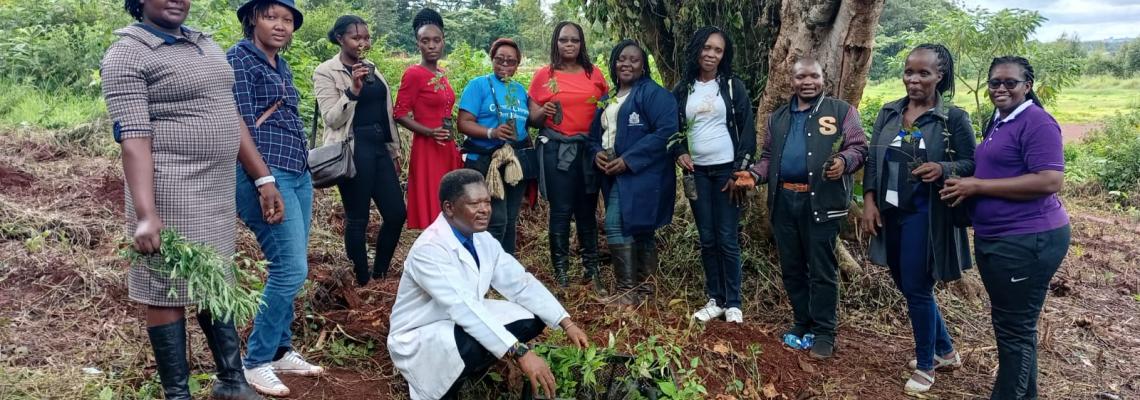 Corporate Tree Planting and growing 19th- April