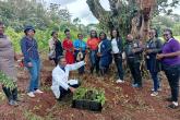 Tree Planting at Upper Kabete UoN - Corporate Affairs patnered with KEPROBA