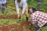 Ag. Finance Officer Participating in the Elimu tree planting Day